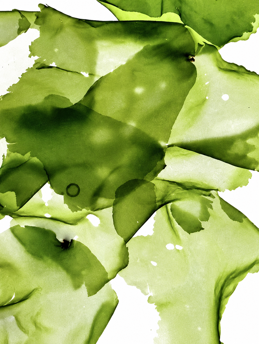 ELYO Pore Refining Clay Mask förpackning och pump