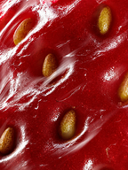 Klar serum-textur av ELYO Peptide Serum
